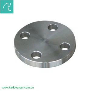 Stainless Steel Flange Buta Ditempa