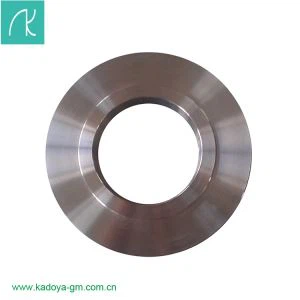 Stainless Steel ANSI Standar Tempa Flange Tekanan Tinggi Berkualitas Tinggi